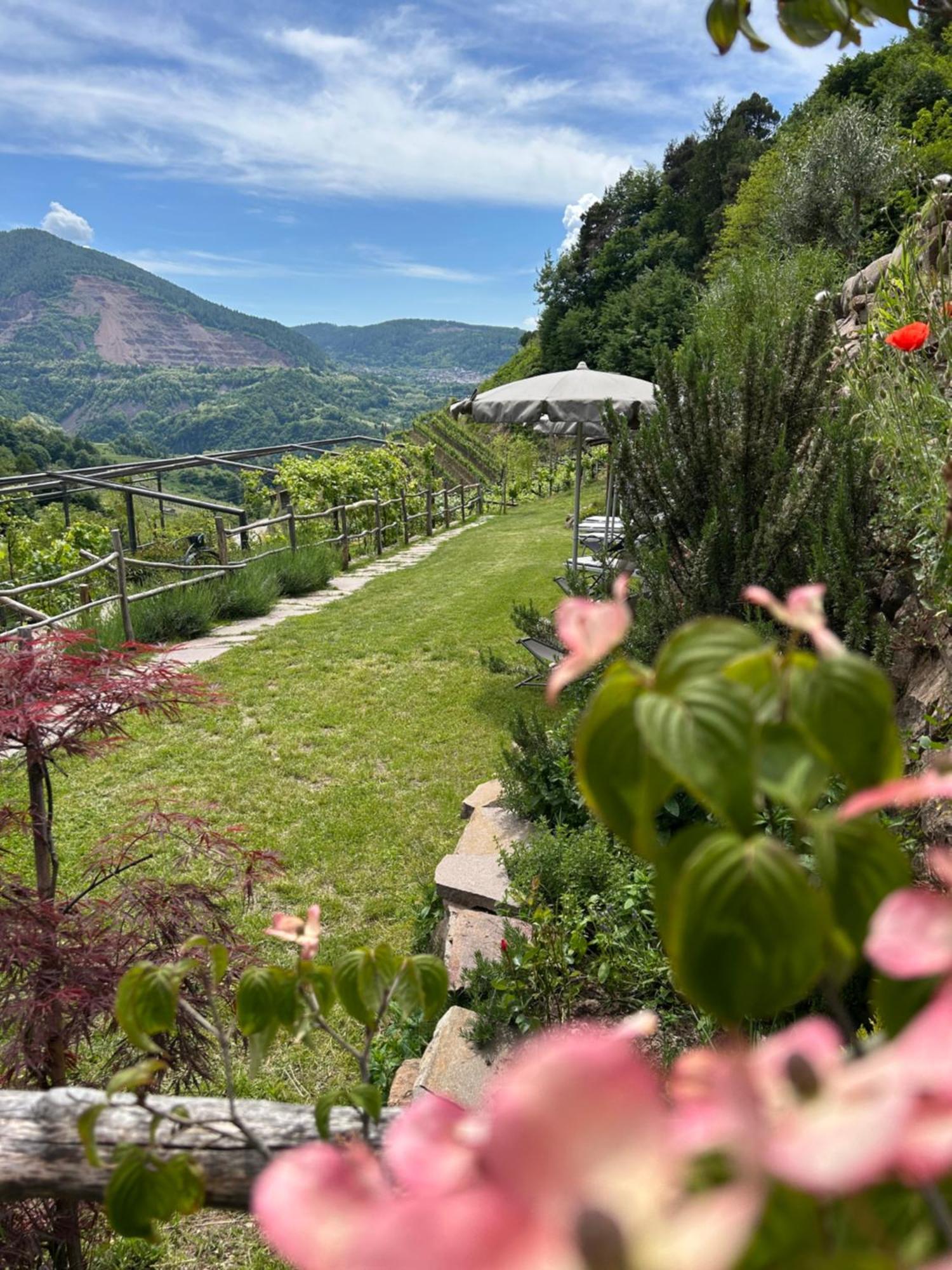 Agriturismo Valfraja 켐브라 외부 사진